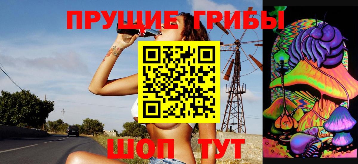 Галлюциногенные грибы прущие грибы Нижний Новгород